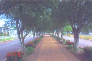 Rua Central em Itacoatiara