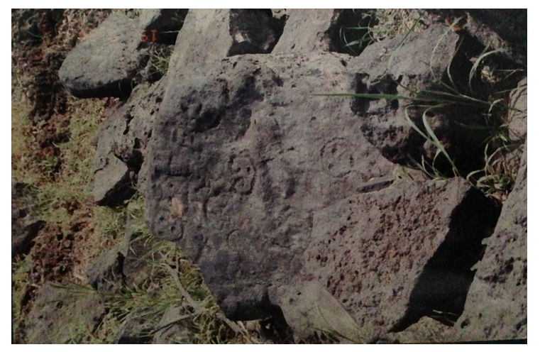 fig3