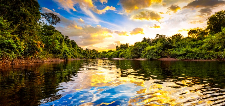 Amazônia um Norte para o Brasil