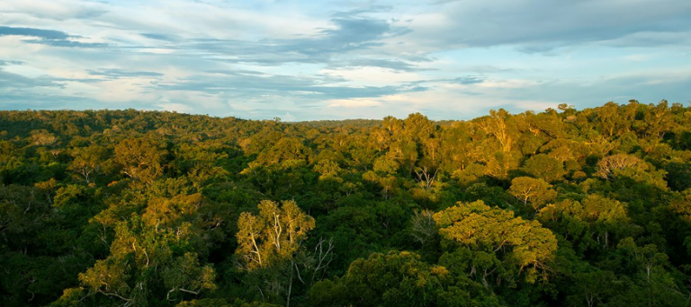 O protagonismo amazônico no acordo do clima