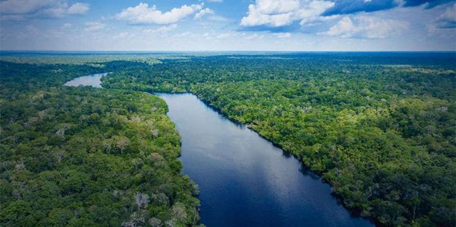 Amazônia: conhecer para proteger e abraçar - Francisco Gomes da Silva