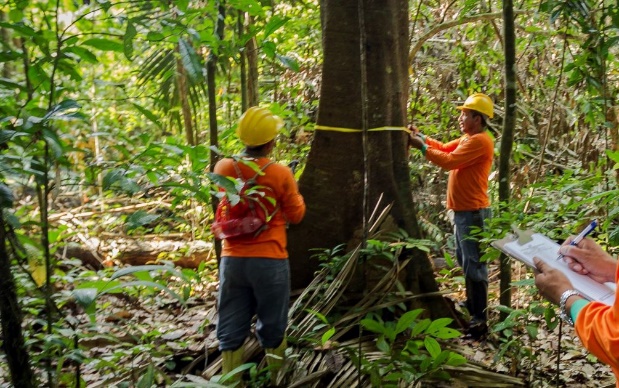 Menino de camisa laranja na floresta

Descrição gerada automaticamente com confiança média