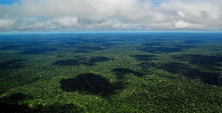 fundo amazonia amazonas Neil Palmer CIAT Flickr floresta