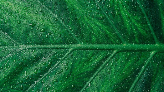ZFM, infraestrutura da competitividade é o próximo passo