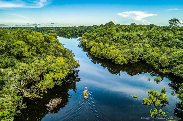 Nas Ondas da Amazônia: A Primeira Mulher Navegadora Fluvial do