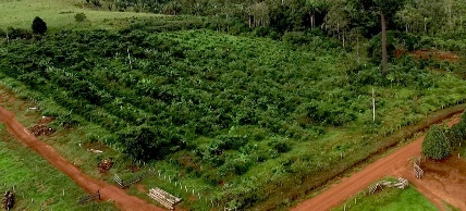 É hora de pedir perdão à Natureza