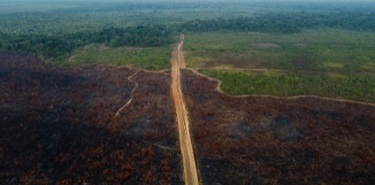 https://brasilamazoniaagora.com.br/wp-content/uploads/2023/02/Desmatamento-e-queimada-no-entorno-da-BR-319-em-Humaita-no-Amazonas-em-setembro-de-2022.-Foto-Michael-Dantas-AFP..jpg