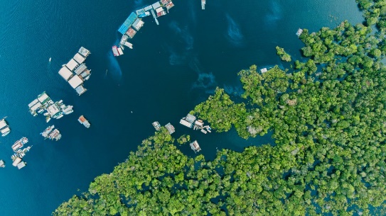 Governança e Sustentabilidade nos Novos Fundos de Desenvolvimento da Amazônia