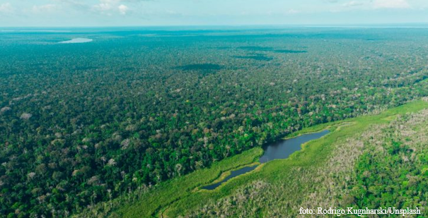 Vista aérea de área verde com água no fundo Descrição gerada automaticamente