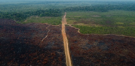 A recuperação da BR-319 é um fator de destruição ou um potencial aliado da preservação da Amazônia?