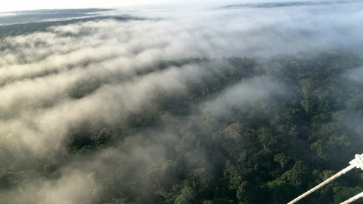Fumaça no céu

Descrição gerada automaticamente