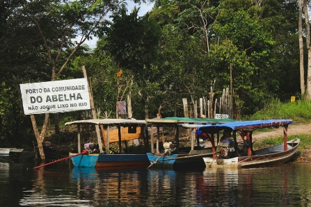 Uma imagem com ar livre, árvore, água, lago

Descrição gerada automaticamente