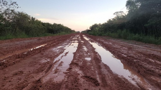 O Dia do Amazonas, portanto, deve ser encarado como um momento para refletir sobre as políticas públicas voltadas para a região. No caso do Amazonas, situado entre os 8 estados que mais recolhem para a Receita Federal, fica explícito o desequilíbrio crônico na divisão das riquezas. Trata-se de um estado que mobiliza, a partir do Polo Industrial de Manaus, 30% da produção de riqueza de toda Região Norte. Como celebrar uma unidade federativa e uma região que são tratados com métricas tão injustas e desiguais?