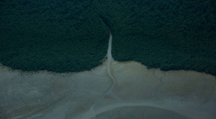 O Brasil encontra-se diante de uma encruzilhada moral, ambiental e civilizatória. Escolher explorar petróleo na foz do Amazonas em nome de uma suposta “segurança energética” significa negar a ciência, comprometer a integridade de um dos ecossistemas mais sensíveis do planeta e perpetuar um modelo de desenvolvimento que já provou ser insustentável.