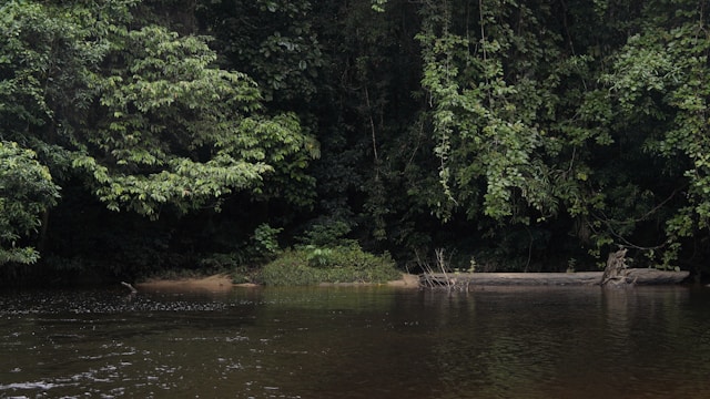 Manaus vive um paradoxo cruel — e é preciso insistir no seu enfrentamento. No coração da maior floresta tropical do planeta, a capital da Amazônia se tornou símbolo da desconexão urbana com a natureza. As imagens ocasionais de alguns voluntários retirando toneladas de lixo dos igarapés ilustram – boa vontade à parte – com força simbólica, a falência do ordenamento urbano em relação aos resíduos sólidos. Lixo que se acumula, constrange e contamina em muitos sentidos.