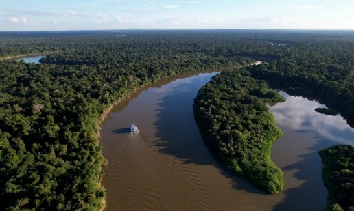 Imagem aérea da Resex Ituxi.