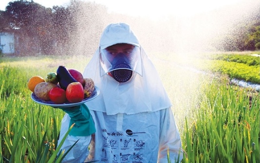 20661201176 cfdbb49b55 b 2