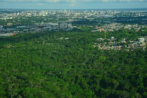 Vista aérea da floresta amazônica com a cidade de Manaus ao fundo