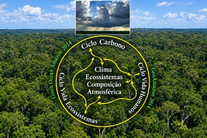 Diagrama circular sobre a floresta amazônica relacionando ciclo do carbono, ciclo de vida dos ecossistemas e ciclo da vida humana